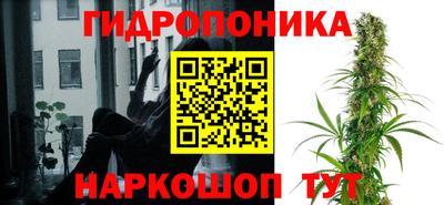 гашишное масло Будённовск