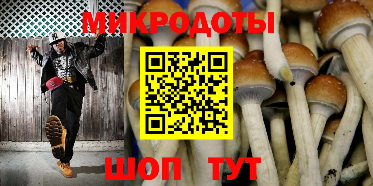 Галлюциногенные грибы мицелий  Вход с VPN  Псилоцибиновые грибы ЛСД  Новочебоксарск 