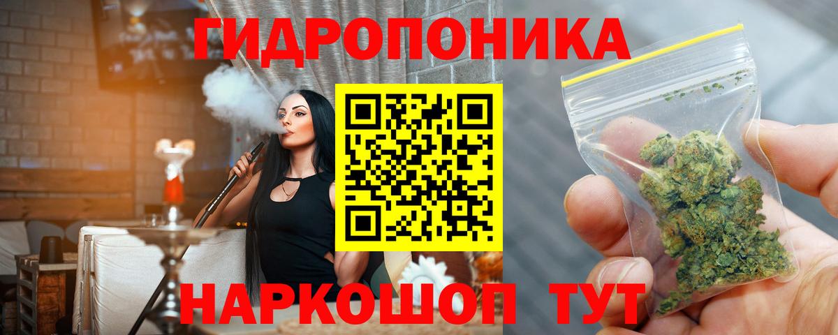 Каннабис тримм  Вход с VPN  Новочебоксарск  Бошки марихуана тримм 